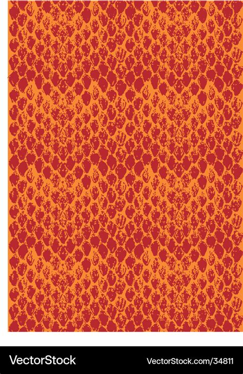 Image result for Python Web Development Vector Image