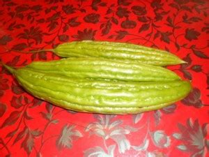 UGRA Chinese Bitter Melon Green Skin Seed Price in India - Buy UGRA ...