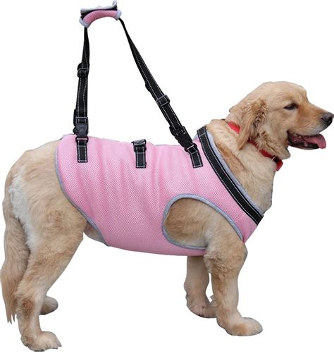 Afuwarm Dog Lift Harness for Front Leg Support, India | Ubuy