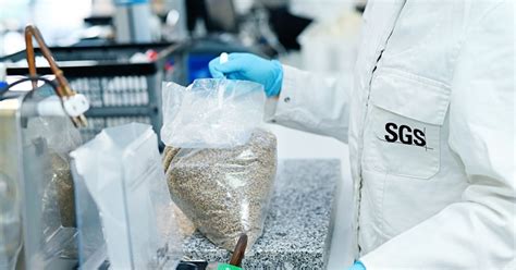Agricultural Sampling | SGS India