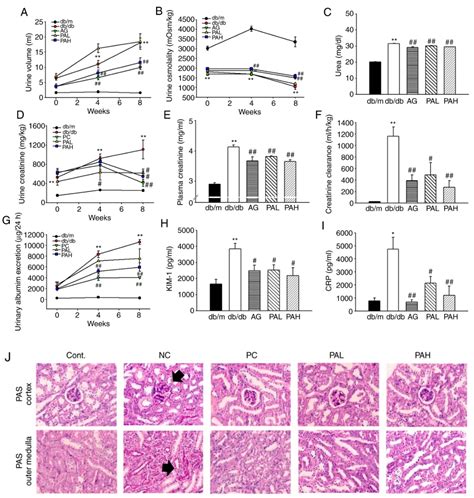 Protective Effects of Ethanolic Extract from Rhizome of Polygoni ...