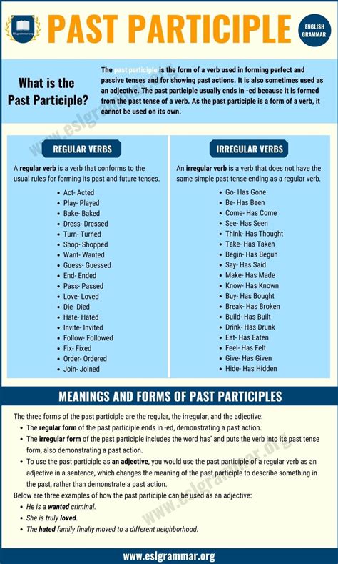 Image result for Past Participle Examples