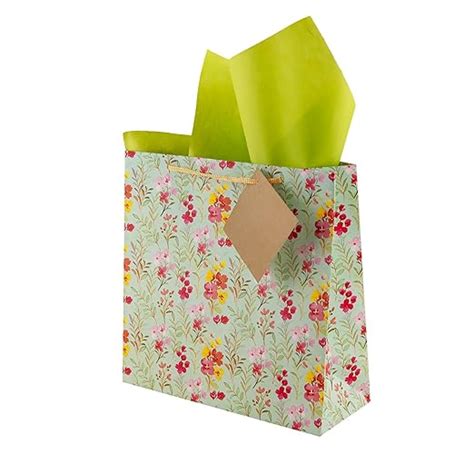 Birch & Co. Gift Bags - Medium Paper Carry Bags for Gifting With Tissue ...