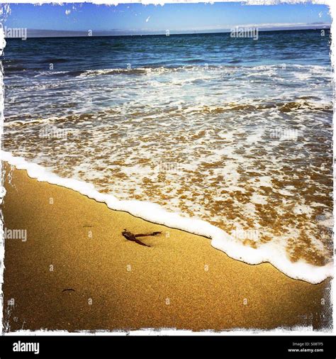 Sand and surf at Seabright State Beach. Santa Cruz, California, USA ...