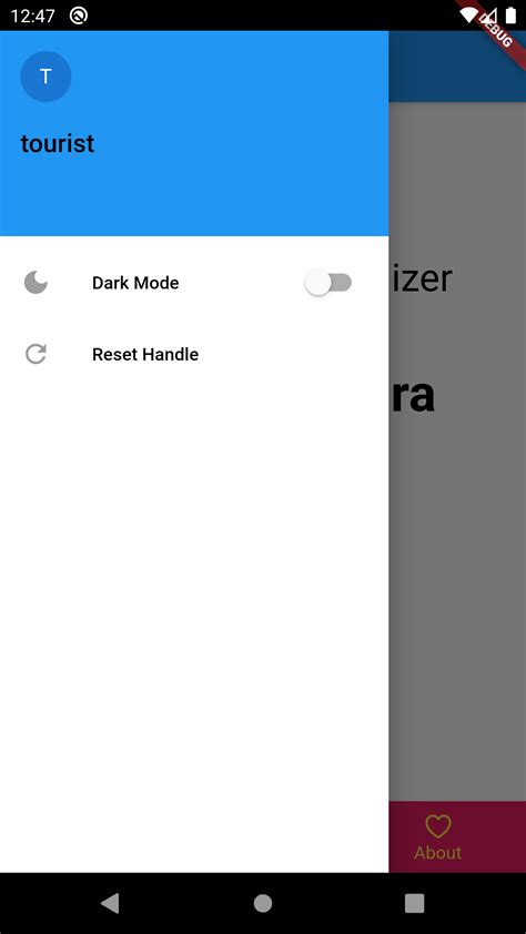 Codeforces Visualizer 的图像结果