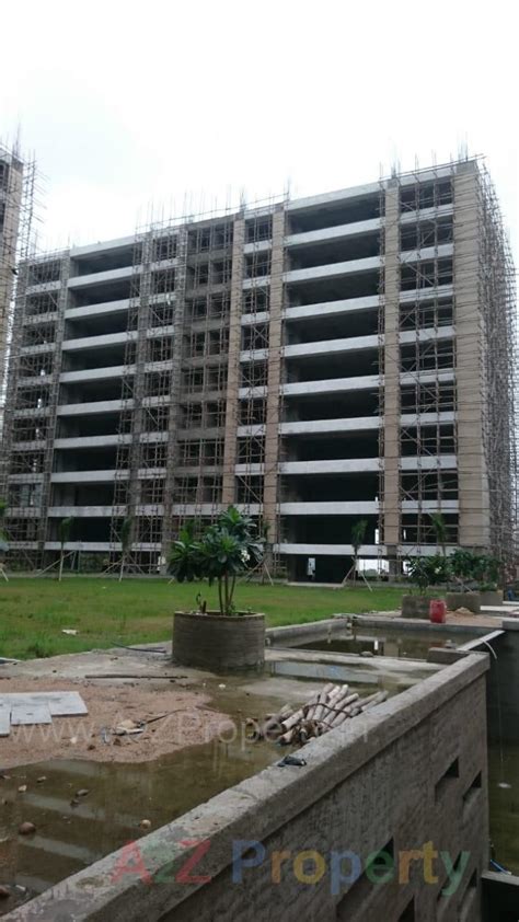 Elysium Avenue | at Piplod, Surat