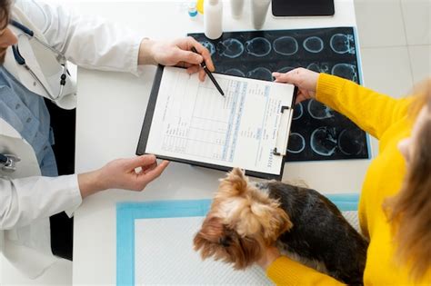 Cute dog during a consultation | Free Photo