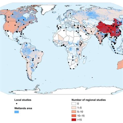 Swamp Map 的图像结果
