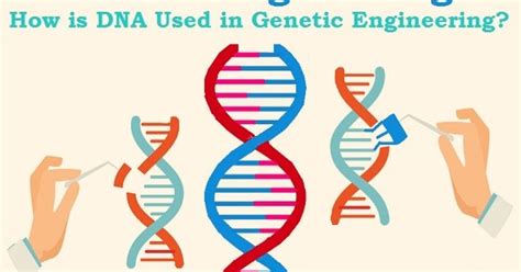 Image result for Define Genetic Engineering