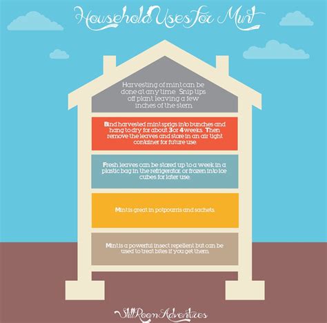 Mint Tutorial 的图像结果