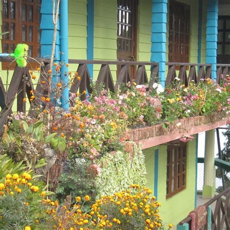 TINCHULEY HOMESTAY (Takdah) - Guesthouse Reviews & Photos - Tripadvisor