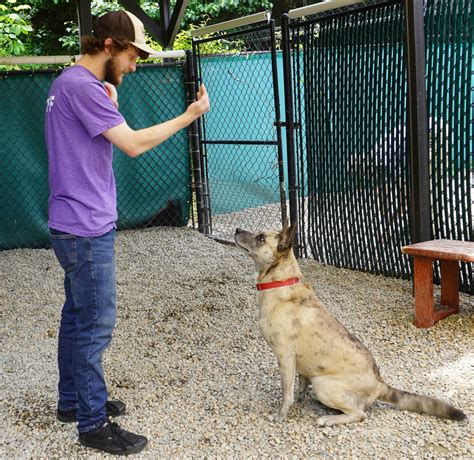 Sharing is Caring: Animal Care Monday | Asheville Humane Society
