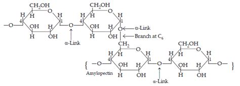 NCERT Solutions for Class 12 Chemistry Chapter 14 Biomolecules