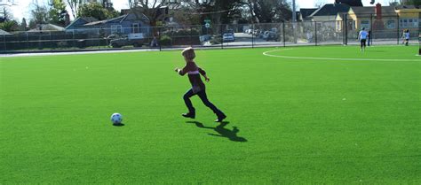 Sportsfield at School 的图像结果