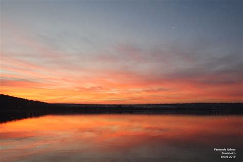 Biomáquinas Animales del Viento – Tania Rubio
