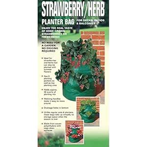 Bosmere K709 Strawberry Planter Bag : Amazon.in: Garden & Outdoors