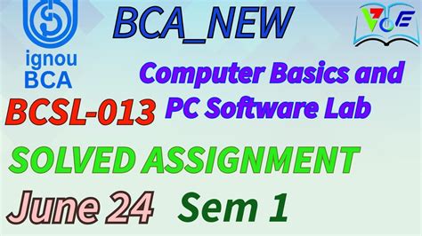 Basic Computer and PC Software Assignment IGNOU 的图像结果