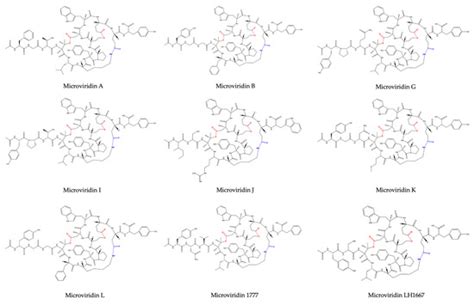 Current Knowledge on Microviridin from Cyanobacteria