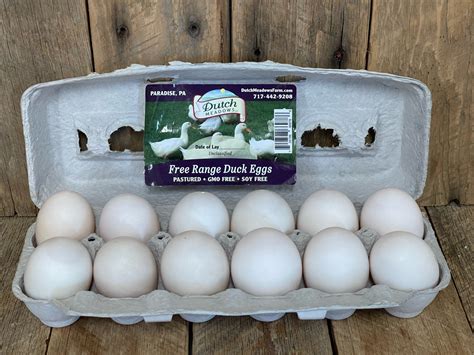Dozen DUCK EGGS - Dutch Meadows Farm