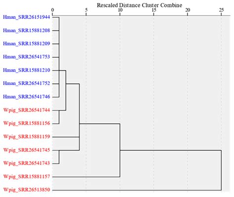 A Chromosome-Level Genome Assembly of the Non-Hematophagous Leech ...