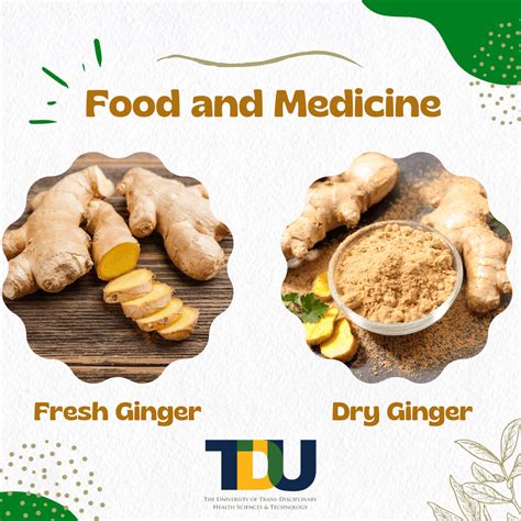 Ginger - An Ingredient for Food and Medicine