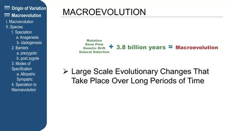 Image result for Macroevolution Controversy