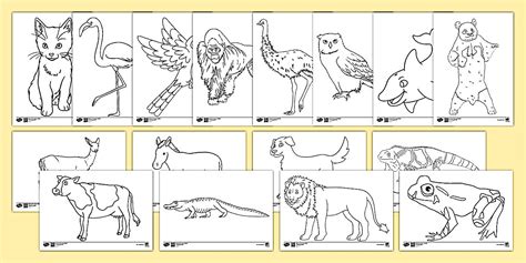 Animal Pictures to Colour-In for Kids KS1 | Colouring Sheets