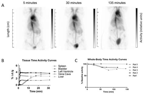 Preclinical PET Imaging and Toxicity Study of a 68Ga-Functionalized ...