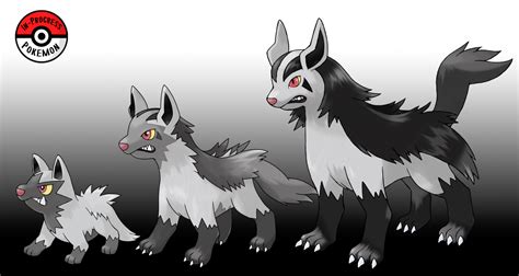 Image result for Poochyena Evolution Level