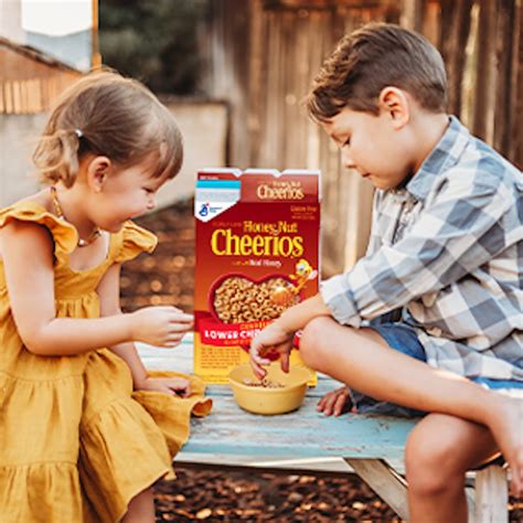 Honey Nut Cheerios Heart Healthy Cereal, Gluten Free Cereal With Whole ...