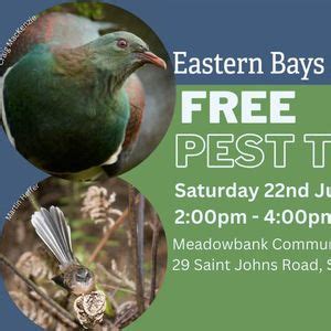FREE pest trap handout and advice, 29 St Johns Rd, Remuera, Auckland ...