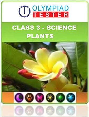 CLASS 3 SCIENCE OLYMPIAD WORKSHEETS - PLANTS (OLYMPIAD EXAM PREPARATION ...