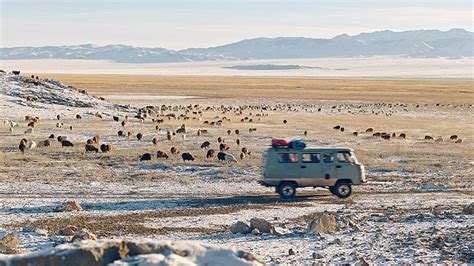 Image result for Checker Tobi