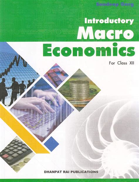 Introductory Macro Economics Class-XII(Old Edition) : Sandeep Garg ...