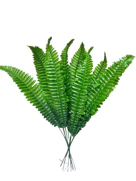 Buy Indus Decor Artificial Boston Fern Plant for Home and Office décor ...
