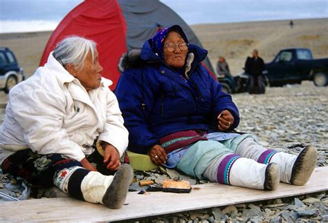Inuit Country Food in Canada | The Canadian Encyclopedia