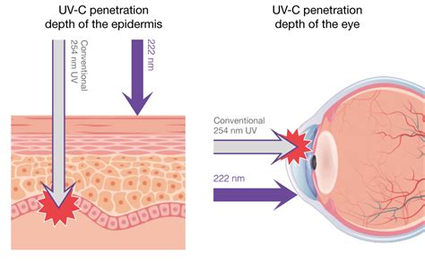 Image result for How Does UVC Work