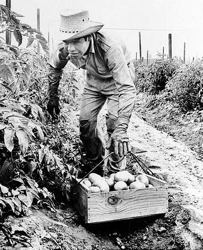 Alien Laborer 的图像结果