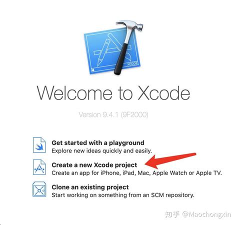 Xcode C++ 的图像结果