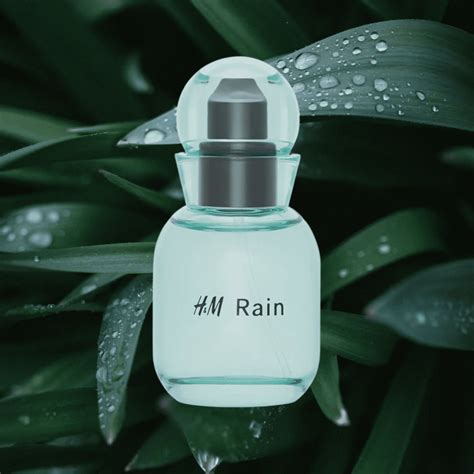 Perfumes That Smell Like Rain | SOKI LONDON - what is the smell of the rain
