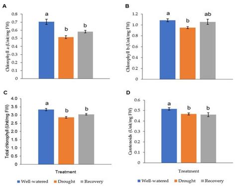 Pandanus amaryllifolius in Response to Drought Stress | Encyclopedia MDPI