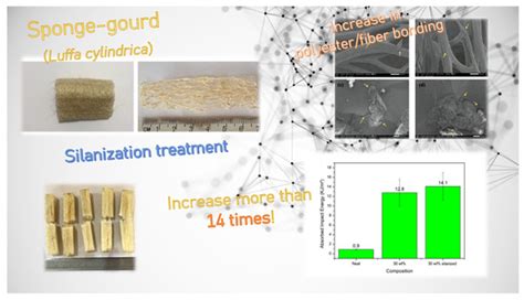 Influence of Silanization Treatment of Sponge Gourd (Luffa cylindrica ...