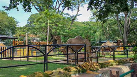 Top 10 Largest Pumpkin Producers in the World