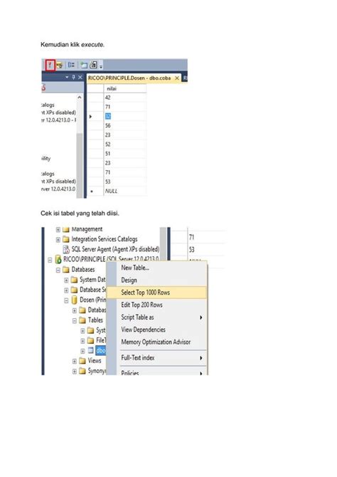 What Is Mirroring in SQL Server 的图像结果