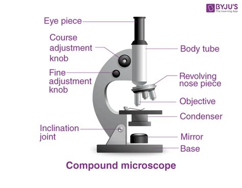 Explanation for Microscope CBSE 12 的图像结果