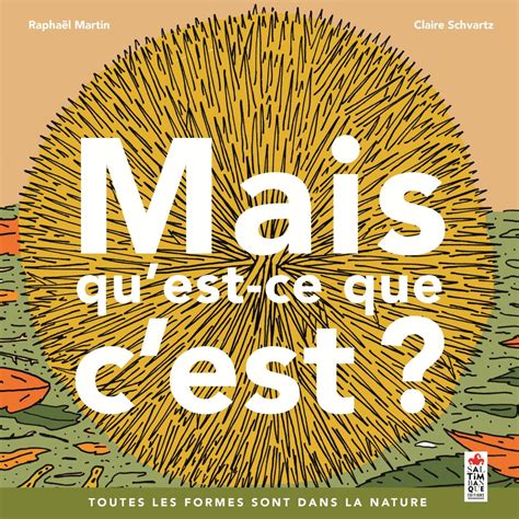 Mais qu'est-ce que c'est ? - Saltimbanque éditions