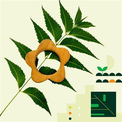 Organic Wooden Teether for 6 to 12 Months Baby – DK Toyz