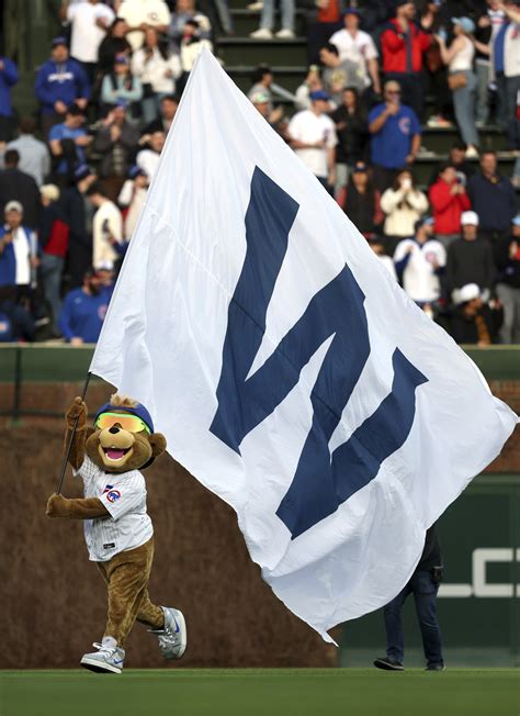 Cubs L Flag