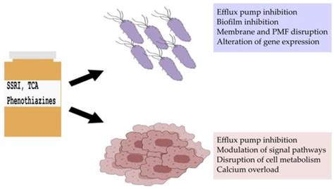 Repurposing Antidepressants and Phenothiazine Antipsychotics as Efflux ...