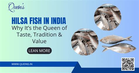 Hilsa Fish in India: Why It’s the Queen of Taste, Tradition & Value ...
